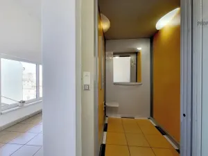 Prodej bytu 1+kk, Brno, Křenová, 32 m2