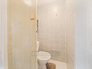 Prodej bytu 3+1, České Budějovice - České Budějovice 3, J. Plachty, 64 m2