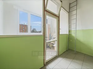 Prodej bytu 3+1, České Budějovice - České Budějovice 3, J. Plachty, 64 m2