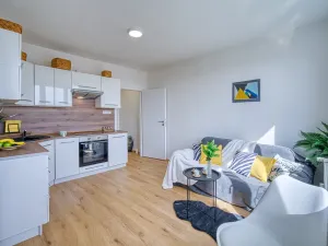 Pronájem bytu 1+1, Jirkov, Studentská, 35 m2