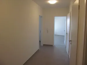 Pronájem obchodního prostoru, Praha - Žižkov, Olgy Havlové, 71 m2