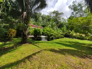 Prodej rodinného domu, Puerto Carrillo, Kostarika, 210 m2