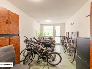 Prodej bytu 3+kk, Slaný, Arbesova, 60 m2