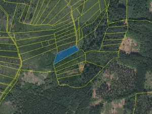 Prodej lesa, Kolinec - Buršice, 3423 m2