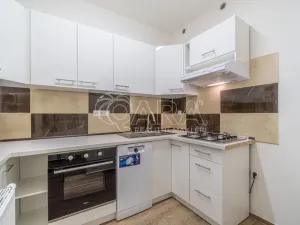 Pronájem bytu 1+kk, Kralupy nad Vltavou, Vrchlického, 31 m2