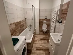 Pronájem bytu 2+kk, České Budějovice, U Lučního jezu, 50 m2