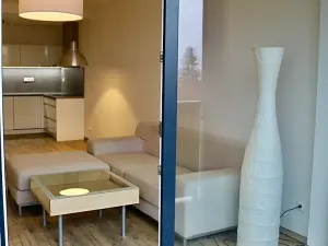 Pronájem bytu 2+kk, Plzeň, Halštatská, 70 m2