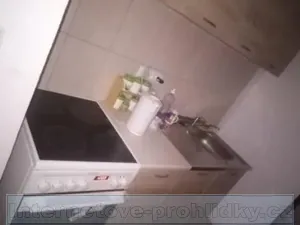 Pronájem bytu 1+1, Děčín, Na Pískách, 30 m2