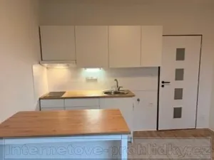 Pronájem bytu 1+1, Ústí nad Labem, Železná, 35 m2