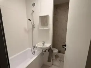 Pronájem bytu 1+1, Ústí nad Labem, Železná, 35 m2