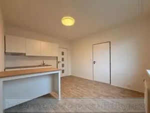 Pronájem bytu 1+1, Ústí nad Labem, Železná, 35 m2