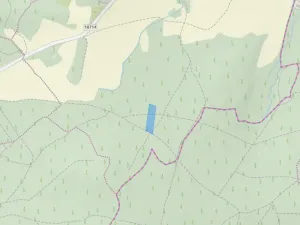 Prodej lesa, Kolinec - Buršice, 5195 m2