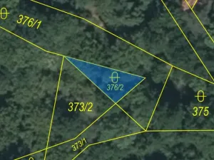 Prodej lesa, Kolinec - Buršice, 5195 m2