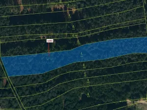 Dražba lesa, Žirovnice, 5755 m2