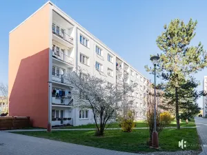 Prodej bytu 1+1, Odolena Voda, Komenského, 35 m2