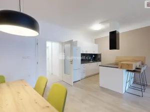 Pronájem bytu 2+kk, Opava - Město, Dolní náměstí, 95 m2