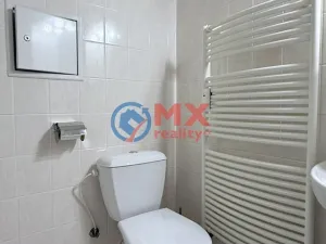 Prodej bytu 1+kk, Praha - Libeň, Kurta Konráda, 25 m2