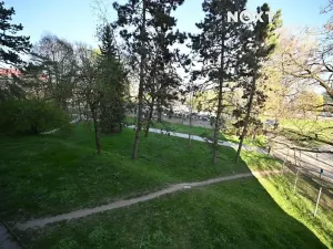 Pronájem bytu 3+1, Brno, Jílová, 55 m2