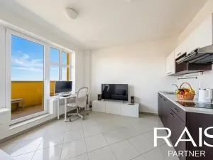 Prodej bytu 1+kk, Brno, Vranovská, 32 m2