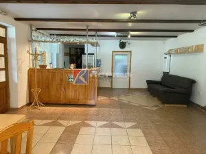 Prodej ubytování, Skorošice, Nýznerovská, 281 m2