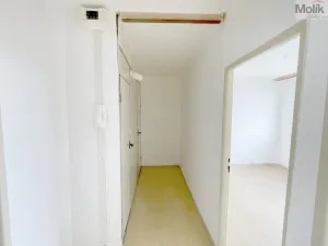 Prodej bytu 3+1, Bílina - Pražské Předměstí, Aléská, 64 m2