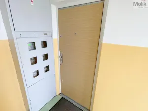 Prodej bytu 3+1, Bílina - Pražské Předměstí, Aléská, 64 m2