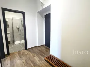 Pronájem bytu 1+kk, Písek, Vladislavova, 40 m2