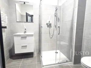 Pronájem bytu 1+1, Písek, Vladislavova, 40 m2
