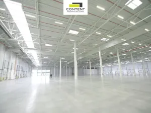 Pronájem výrobních prostor, Syrovice, 5872 m2