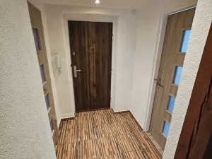 Pronájem bytu 2+1, Plzeň - Jižní Předměstí, 17. listopadu, 50 m2