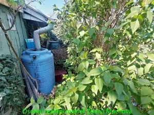 Prodej chaty, Praha, Na Balkáně, 7 m2