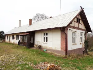 Prodej komerčního pozemku, Jesenice, Rekreační, 10738 m2