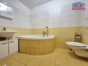 Pronájem bytu 2+kk, České Budějovice, Litvínovická, 50 m2