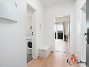 Pronájem bytu 1+kk, Heřmanova Huť - Vlkýš, U Pondu, 35 m2