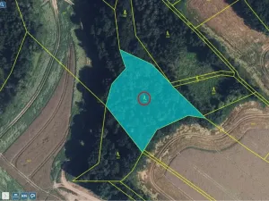 Prodej lesa, Rychnov na Moravě, 5546 m2