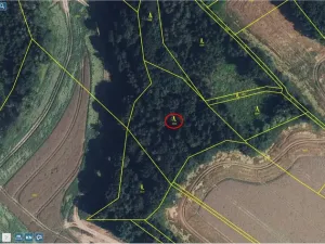 Prodej lesa, Rychnov na Moravě, 5546 m2