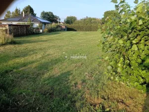 Prodej pozemku pro bydlení, Kořenice - Chotouchov, Kořenice, 1295 m2