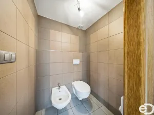 Prodej rodinného domu, Dolní Beřkovice - Vliněves, 400 m2