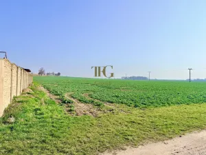 Prodej pozemku pro bydlení, Urbanice, 910 m2