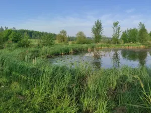 Pronájem chaty, Kněžmost - Suhrovice, 60 m2