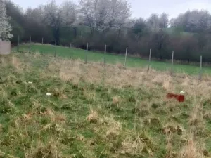 Prodej louky, Polom, 3371 m2