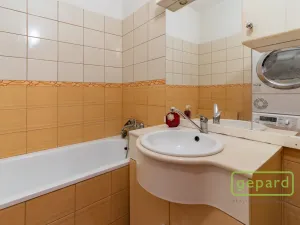 Prodej bytu 2+1, Ostrov, S. K. Neumanna, 54 m2