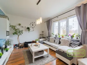 Prodej bytu 2+1, Ostrov, S. K. Neumanna, 54 m2