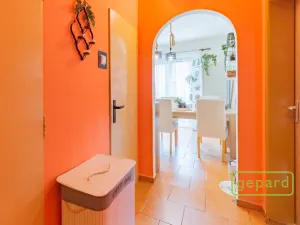 Prodej bytu 2+1, Ostrov, S. K. Neumanna, 54 m2