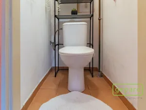 Prodej bytu 2+1, Ostrov, S. K. Neumanna, 54 m2