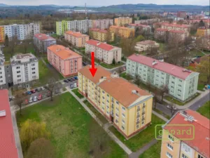 Prodej bytu 2+1, Ostrov, S. K. Neumanna, 54 m2