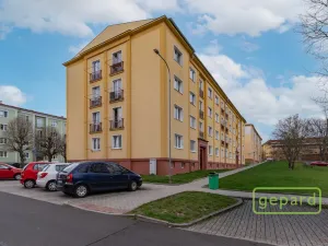 Prodej bytu 2+1, Ostrov, S. K. Neumanna, 54 m2