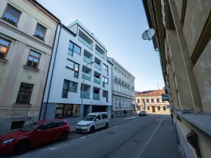 Pronájem bytu 1+kk, České Budějovice, Štítného, 27 m2
