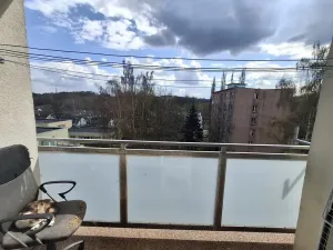 Prodej bytu 3+1, Cheb, Do Zátiší, 59 m2