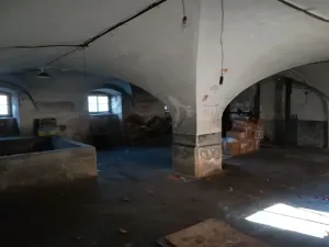 Pronájem skladu, Mladá Boleslav - Čejetičky, Vinecká, 197 m2